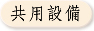pݔ